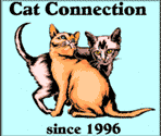 Cat Connection