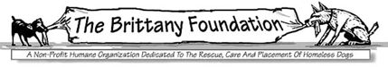The Brittany Foundation